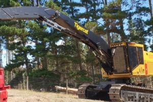 Tigercat on site.jpg